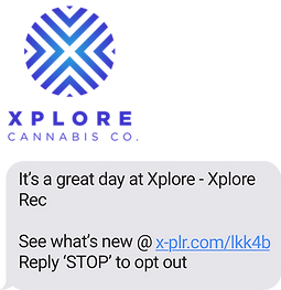 SMS text messaging example