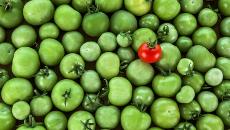 Rescue Your Brand – A Guide to Dispensary Marketing