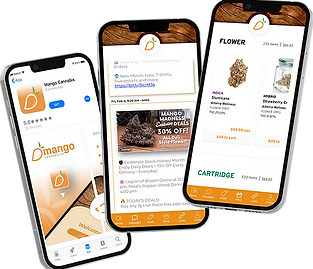 Push Messaging custom-branded mobile application