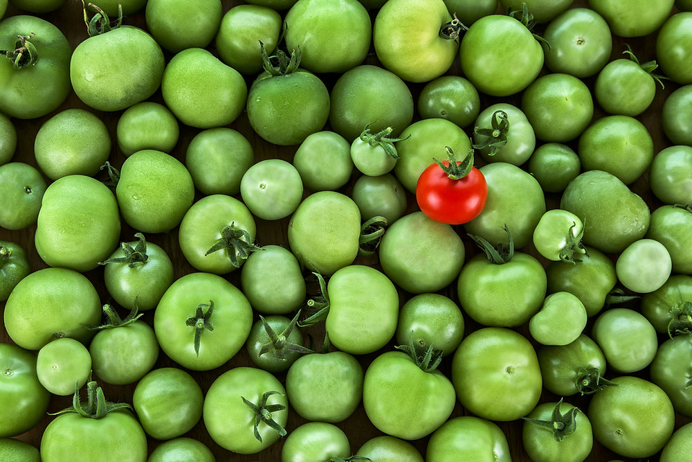 Rescue Your Brand – A Guide to Dispensary Marketing